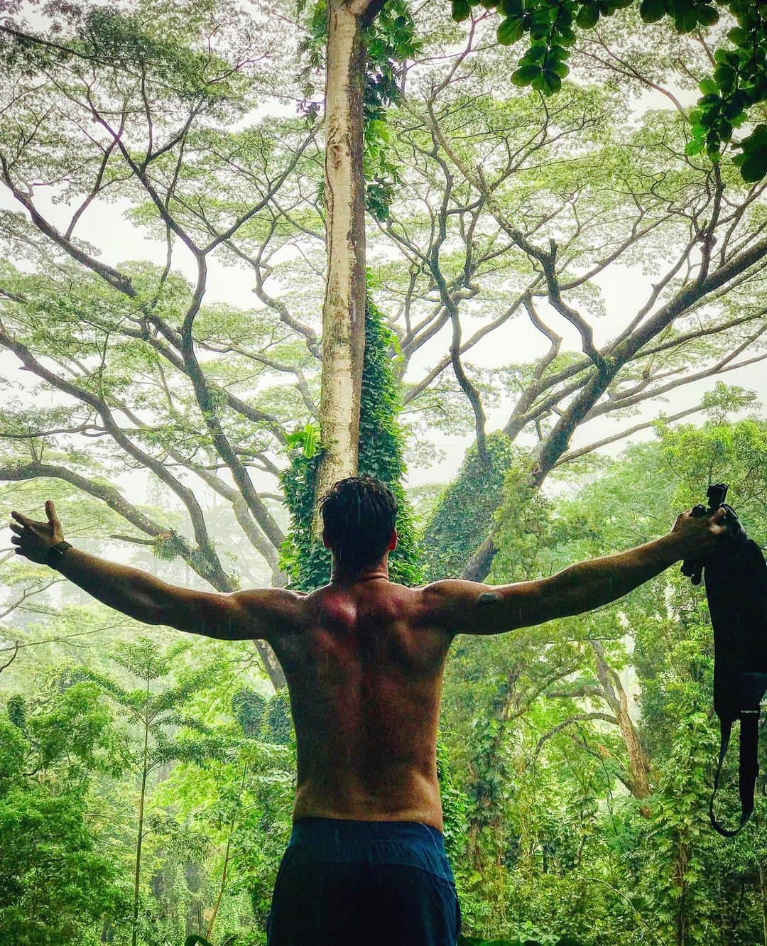 デレック・テラーさんのインスタグラム写真 - (デレック・テラーInstagram)「Island time 🌺🏝🏄🏻‍♂️ #rainforest」7月19日 3時17分 - derektheler