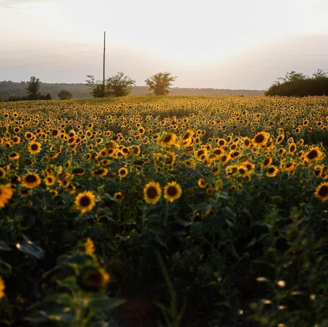 FOLKさんのインスタグラム写真 - (FOLKInstagram)「Hey y’all, so this is one of those posts where we ask you to comment so we know who all is following. This community has always been about shared experience, a love of stories, small towns, adventure, and makers, and we want to reach as many people as possible...so we’re asking you to comment on this post if you’re following along. We’re working really hard to make sure we have interesting and engaging content both digitally and in print and the more folks that see it the more it benefits everyone. Plus...anyone that comments will be entered to win one of our August American Made boxes!」7月19日 3時54分 - folkmagazine