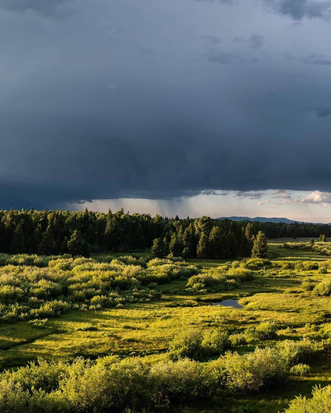 National Geographic Travelさんのインスタグラム写真 - (National Geographic TravelInstagram)「Photo by @taylorglenn | Last light at Blacktail Ponds Overlook as an evening storm clears in Grand Teton National Park. There is something so incredibly magical about the quality of light that occurs just as the sun is about to set behind the mountain range. The shadows of the peaks and the glow of the low angled sunlight creates the most beautiful depth and glow across the landscape. It's the kind of light we photographers dream about. To see more of this incredible #Wyoming landscape follow @taylorglenn #grandtetonnationalpark #jacksonhole」7月19日 4時09分 - natgeotravel