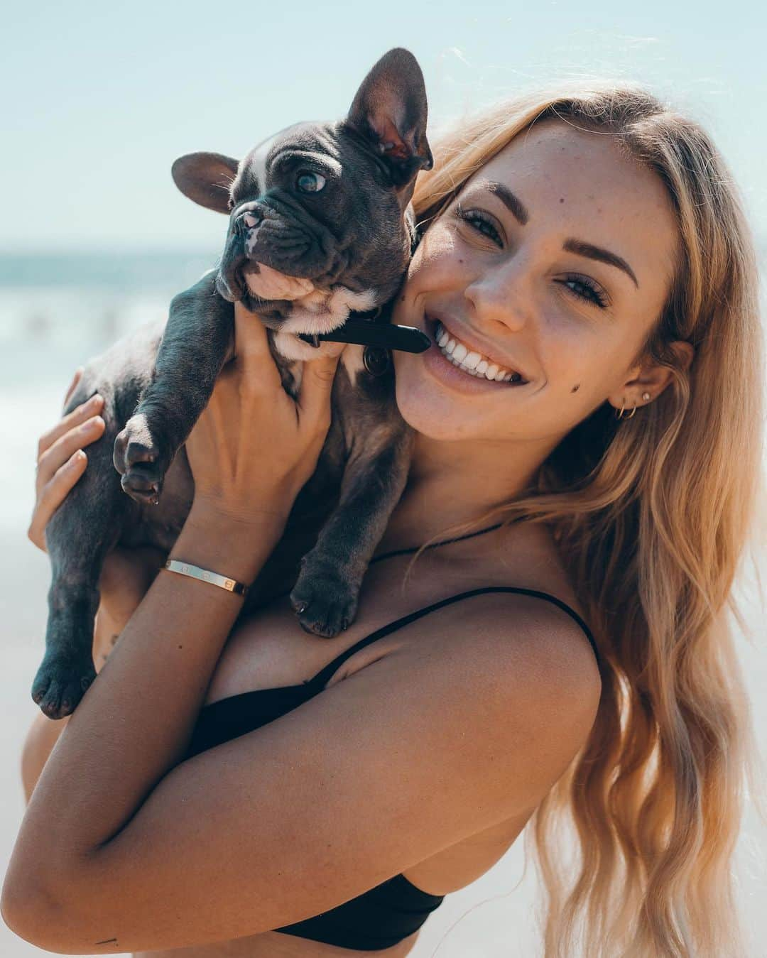 チャーリー・ジョーダンさんのインスタグラム写真 - (チャーリー・ジョーダンInstagram)「There’s literally zero way you can say no to this peanut face @exclusive_frenchies 🐶 ❤️ everyone meet Bleu ❤️」7月19日 6時04分 - charlyjordan