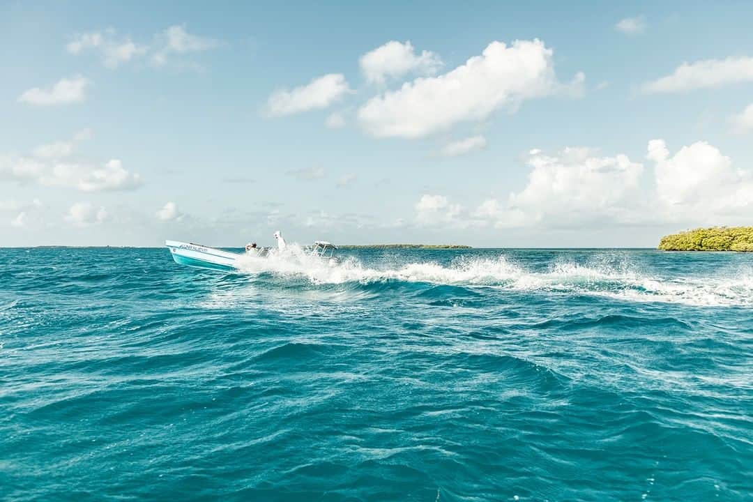 Costa Sunglassesのインスタグラム：「Running through Belizean blue. #WaterToBreathe #SeeWhatsOutThere」