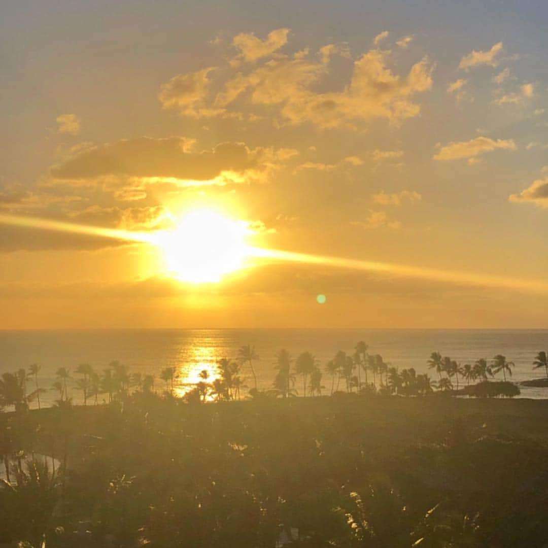 Belle Vie Hawaiiさんのインスタグラム写真 - (Belle Vie HawaiiInstagram)「オアフ島西海岸のコオリナ・リゾート🏝﻿ ﻿ ワイキキから車で1時間弱の場所なのに﻿ マウイやカウアイのような離島ののんびり感が味わえると﻿ 在住者のステイケーション先としても人気のリゾートです❣️﻿ ﻿ コオリナはかつて﻿ ハワイのアリイ（王族）の静養地でもあったそう🌺﻿ ﻿ 街の喧騒を離れて﻿ ゆったりリラックスして過ごしたい方におススメですね🤙﻿ ﻿ ﻿ ﻿ ﻿ ﻿ ﻿ ﻿ ﻿ ﻿ ﻿ ﻿ #belleviehawaii #hawaii﻿ #waikiki #staycations  #aloha #honolulu﻿ #koolina #oahu﻿ #hawaiilife #honoluluhawaii﻿ #ハワイ #ベルヴィー﻿ #ハワイ旅行 #ハワイ好き﻿ #ハワイ大好き #アロハ﻿ #ハワイ土産 #コオリナ﻿ #コスメ好き #ハワイ行きたい﻿ #コオリナリゾート #ステイケーション﻿ #ホノルル #ハワイ生活﻿ #ハワイ好きな人と繋がりたい」7月19日 6時51分 - belleviehawaii