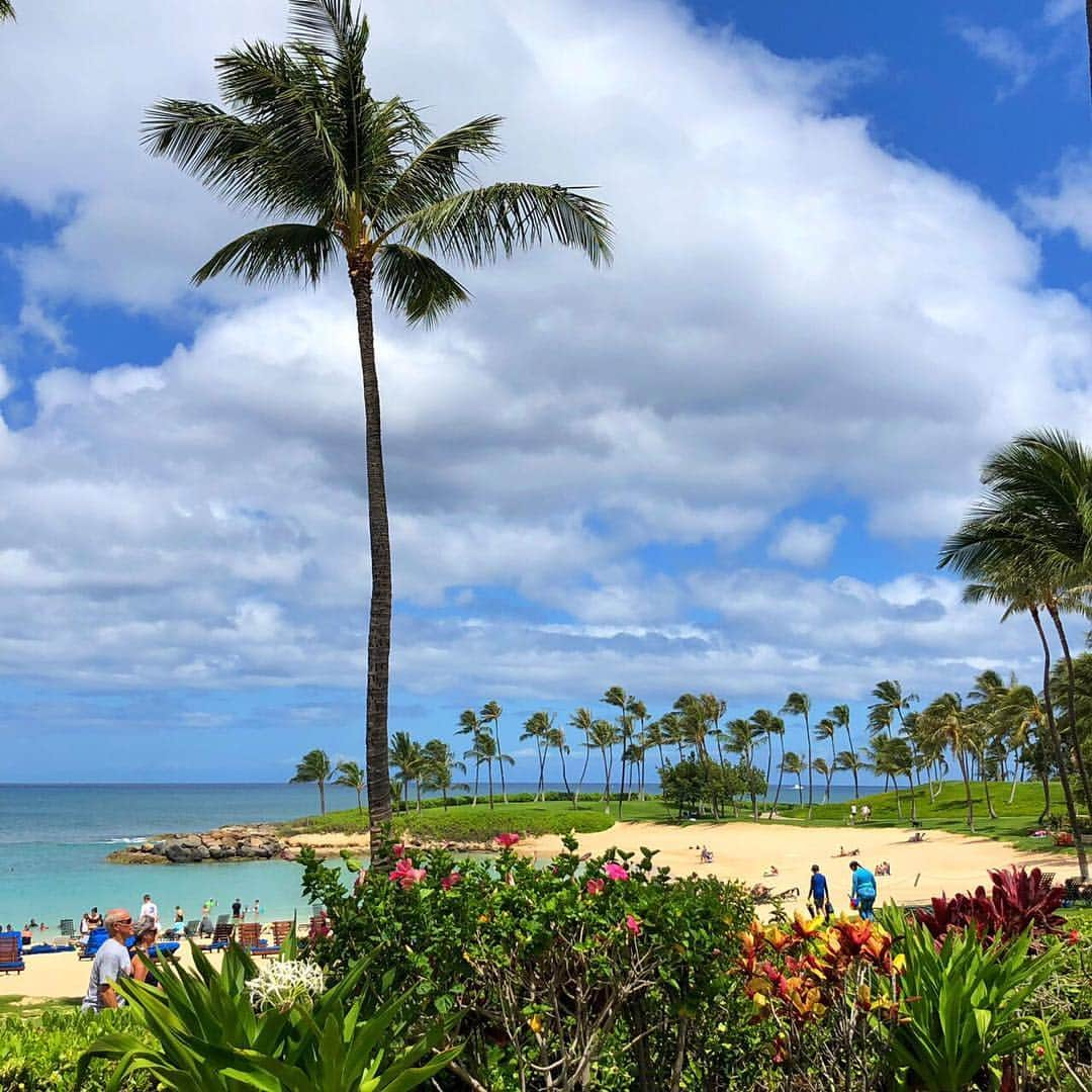 Belle Vie Hawaiiさんのインスタグラム写真 - (Belle Vie HawaiiInstagram)「オアフ島西海岸のコオリナ・リゾート🏝﻿ ﻿ ワイキキから車で1時間弱の場所なのに﻿ マウイやカウアイのような離島ののんびり感が味わえると﻿ 在住者のステイケーション先としても人気のリゾートです❣️﻿ ﻿ コオリナはかつて﻿ ハワイのアリイ（王族）の静養地でもあったそう🌺﻿ ﻿ 街の喧騒を離れて﻿ ゆったりリラックスして過ごしたい方におススメですね🤙﻿ ﻿ ﻿ ﻿ ﻿ ﻿ ﻿ ﻿ ﻿ ﻿ ﻿ ﻿ #belleviehawaii #hawaii﻿ #waikiki #staycations  #aloha #honolulu﻿ #koolina #oahu﻿ #hawaiilife #honoluluhawaii﻿ #ハワイ #ベルヴィー﻿ #ハワイ旅行 #ハワイ好き﻿ #ハワイ大好き #アロハ﻿ #ハワイ土産 #コオリナ﻿ #コスメ好き #ハワイ行きたい﻿ #コオリナリゾート #ステイケーション﻿ #ホノルル #ハワイ生活﻿ #ハワイ好きな人と繋がりたい」7月19日 6時51分 - belleviehawaii