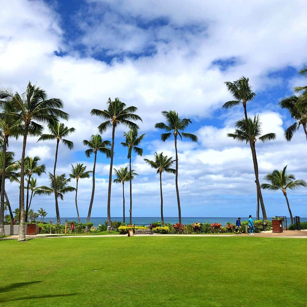 Belle Vie Hawaiiさんのインスタグラム写真 - (Belle Vie HawaiiInstagram)「オアフ島西海岸のコオリナ・リゾート🏝﻿ ﻿ ワイキキから車で1時間弱の場所なのに﻿ マウイやカウアイのような離島ののんびり感が味わえると﻿ 在住者のステイケーション先としても人気のリゾートです❣️﻿ ﻿ コオリナはかつて﻿ ハワイのアリイ（王族）の静養地でもあったそう🌺﻿ ﻿ 街の喧騒を離れて﻿ ゆったりリラックスして過ごしたい方におススメですね🤙﻿ ﻿ ﻿ ﻿ ﻿ ﻿ ﻿ ﻿ ﻿ ﻿ ﻿ ﻿ #belleviehawaii #hawaii﻿ #waikiki #staycations  #aloha #honolulu﻿ #koolina #oahu﻿ #hawaiilife #honoluluhawaii﻿ #ハワイ #ベルヴィー﻿ #ハワイ旅行 #ハワイ好き﻿ #ハワイ大好き #アロハ﻿ #ハワイ土産 #コオリナ﻿ #コスメ好き #ハワイ行きたい﻿ #コオリナリゾート #ステイケーション﻿ #ホノルル #ハワイ生活﻿ #ハワイ好きな人と繋がりたい」7月19日 6時51分 - belleviehawaii