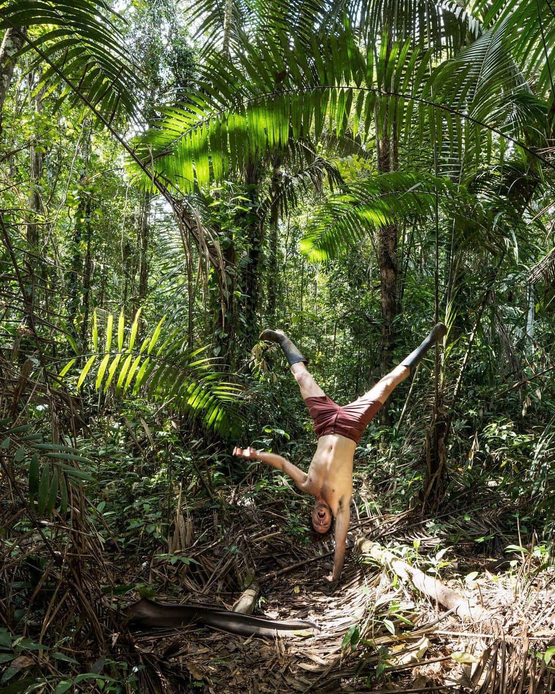 アラン・ディクソンさんのインスタグラム写真 - (アラン・ディクソンInstagram)「Serious question, how do we make planting a tree cool? Asking for a friend, Earth. 🌎 I got the chance to visit part of the Amazon Jungle and it’s been an awe inspiring experience. To see nature for what it was, untouched by humans. It’s funny what we consider “nature” to be in a city environment. - Comment how you think we can make planting trees cool 💬  55% of the worlds population live and breathe in urban concrete jungles, nature comes last, yet provides us our fuel for life. I’m trying to figure out how I can tap into those city people who have forgot about nature, what cool trendy thing can we do to pursued them to plant a tree? 🌱🌲 #brazil #amazonjungle #nature #handstand #trees #forest #plantlife #plantbased #jungle #ecuador #quito #ecuador🇪🇨 #discoverecuador #allyouneedisecuador #ecuadortravel  #ecuadoramalavida #jungleland #naturephotography #rawnature #plantsofinstagram #plantsplantsplants #plantsmakepeoplehappy」7月19日 7時38分 - daxon