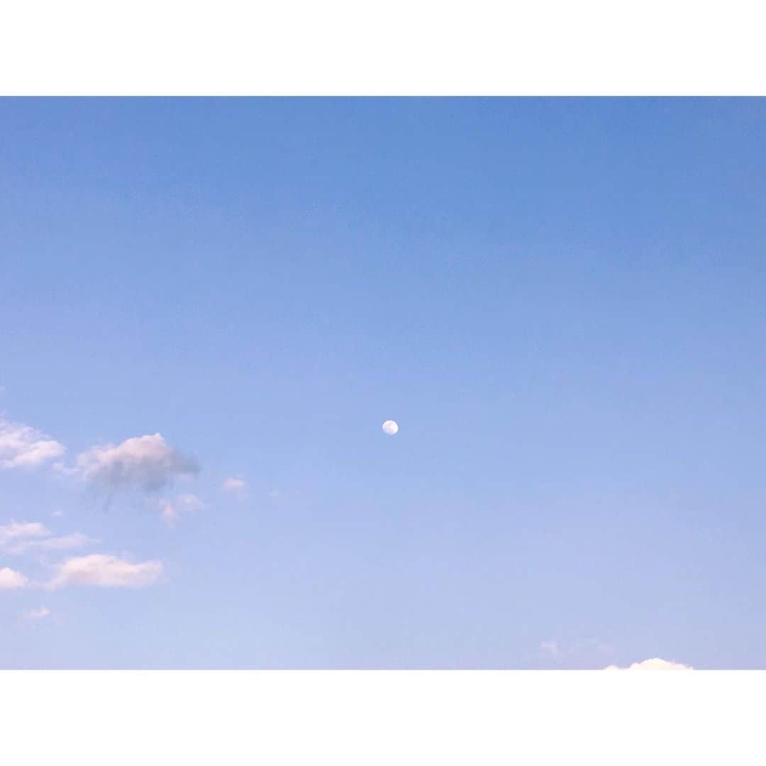 ito no otoのインスタグラム：「𓆇 ぽっかり浮かんだ月 いつかとっさに撮ったもの。 .. 月はひとつなはずなのに、 見る角度、場所で 全然違ってみえる。 ひともおんなじ。 忘れちゃいけないね 𓂃𓂃☽︎ #月#moon」