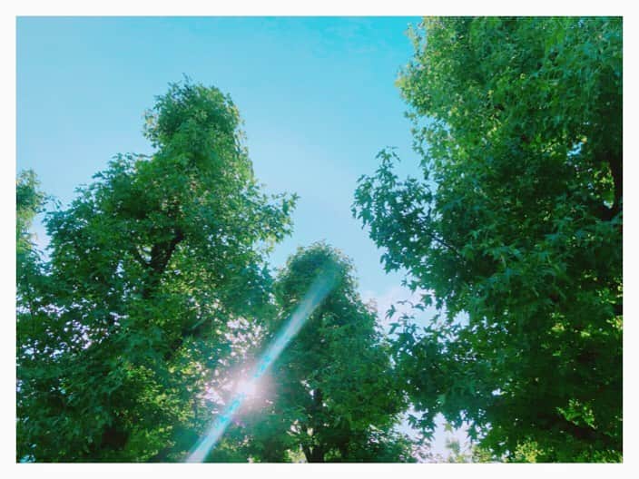 山岸愛梨さんのインスタグラム写真 - (山岸愛梨Instagram)「青空がとっても嬉しい季節｡ﾟ(ﾟ´ω`ﾟ)ﾟ｡でも紫外線が怖いので木陰から隙間の太陽をパチリ。笑  #青空 #梅雨 #空」7月19日 18時33分 - airi_yamagishi