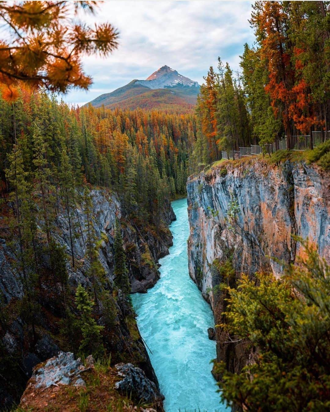 Wonderful Placesさんのインスタグラム写真 - (Wonderful PlacesInstagram)「Jasper National Park - Canada ✨❤️❤️❤️✨ . Pictures by ✨✨@mblockk✨✨ #wonderful_places for a feature ❤️」7月19日 17時18分 - wonderful_places