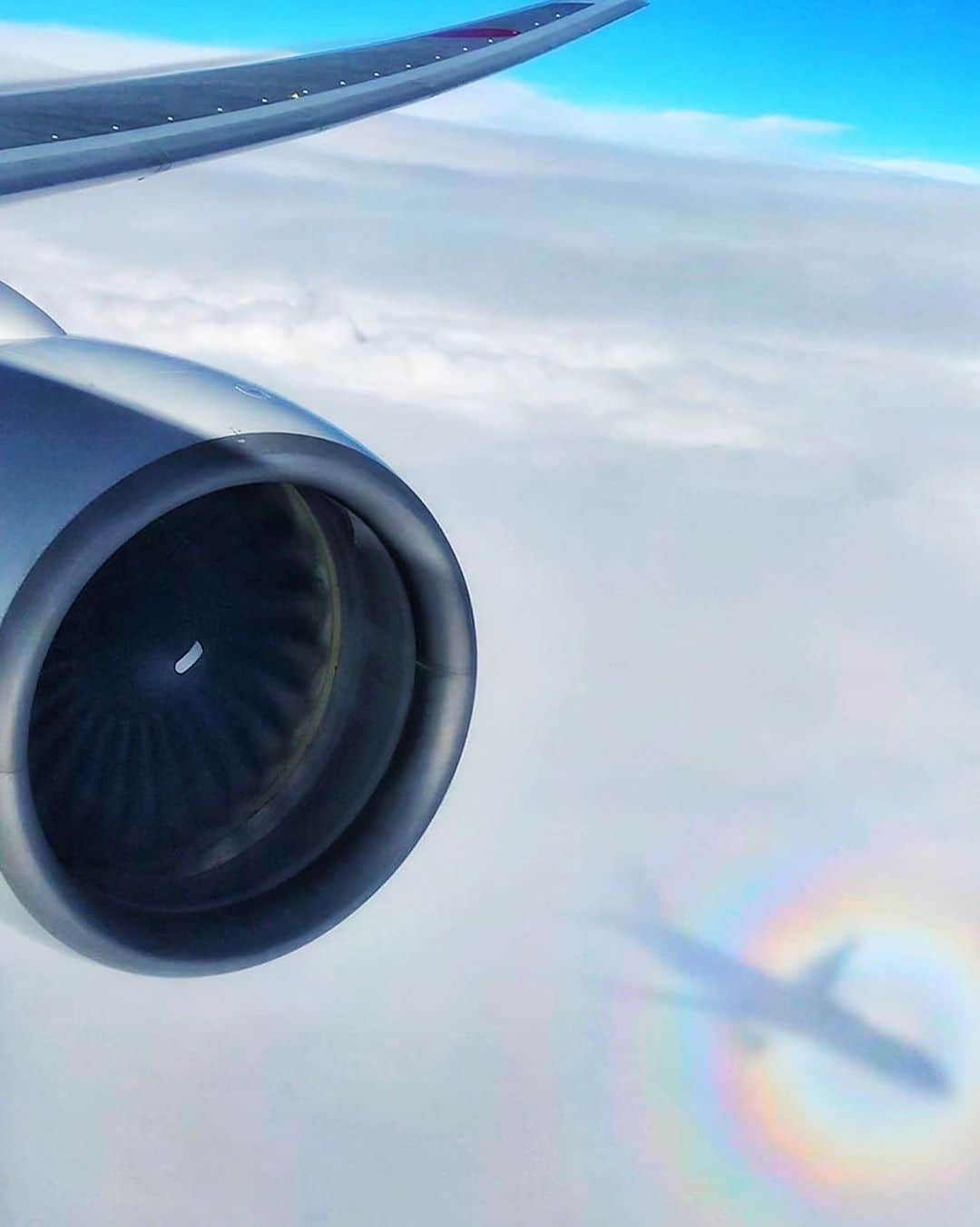 ANAさんのインスタグラム写真 - (ANAInstagram)「奇跡の瞬間✨ （Photo：@dflop_350z）  #ブロッケン現象 #光の輪 #虹の輪 #いいことありそう #奇跡 #空の旅 #雲 #飛行機の影 #空の上 #飛行機 #飛行機からの景色 #幻想的な世界 #ダレカニミセタイケシキ #ソラマニ_マドカラ #機窓 #miracle #sky #clouds #rainbow #airplaneshadow #airplane #ana_jp #anaairplane  機窓からの風景は「#ソラマニ_マドカラ」を付けて投稿してね🌈インスタやANAの各メディアでご紹介していきます😄」7月19日 17時29分 - ana.japan