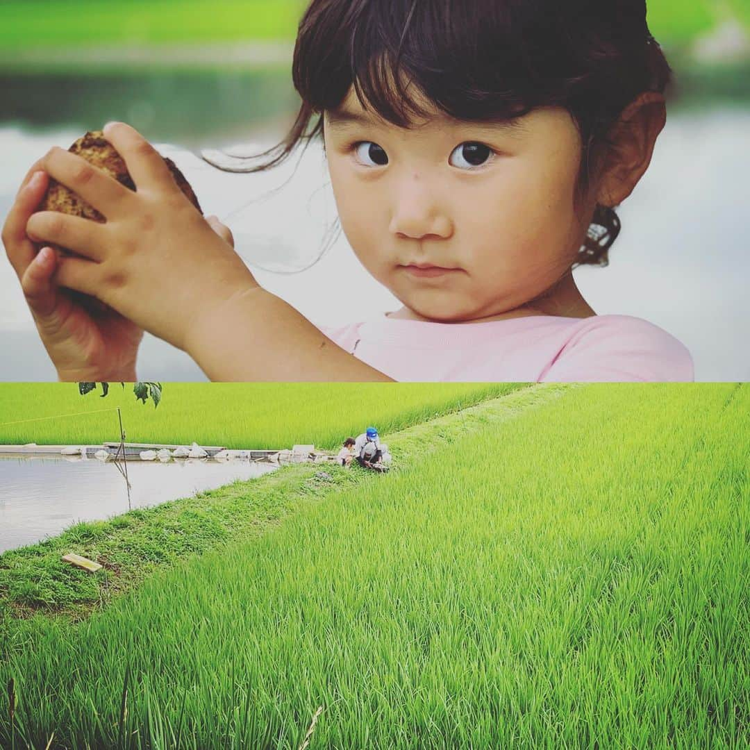 田中幸さんのインスタグラム写真 - (田中幸Instagram)「ジャガイモ収穫と ドジョウすくい  恵みの雨で 成長の早い幸農園の野菜たち  #自給自足農家 #農業女子👩‍🌾 #見習い中 #ジャガイモ収穫🥔 #浅間山と八ヶ岳に囲まれて育つ野菜」7月19日 17時46分 - sachitanaka