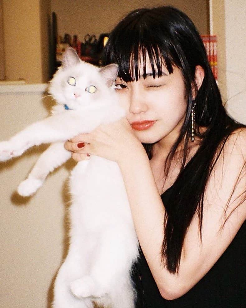 北澤舞悠（まゆちる）のインスタグラム：「にゃ🐈」