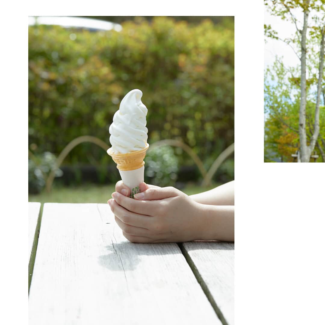 haru(ハル)さんのインスタグラム写真 - (haru(ハル)Instagram)「私だって、夏休みが欲しい！ . もぉ～すぐ花火大会に、夏祭り。 . 今年はどこに行こうかな。 . Product:haru シャンプー「kurokamiスカルプ」 _ #haru_kurokamiスカルプ _ #新米ママ #暮らしを楽しむ #プレママ #日々の暮らし #ワーママ #こどものいる暮らし #緑のある暮らし #アラフォーママ #ママライフカメラ #お花のある暮らし #ママさんと繋がりたい #すっきり暮らす #こどもと暮らす #小学生ママ #ママカメラ部 #暮らしの記録 #育児中 #30代ママ #日々の暮らしを楽しむ #こどものいる生活 #暮らしのアイデア #ワーママあるある #柑橘系の香り #スカルプシャンプー #シャンプーマニア _ #haruシャンプー #haruのある生活 #ココロハレル #kurokamiスカルプ」7月19日 18時07分 - haru_tennen100