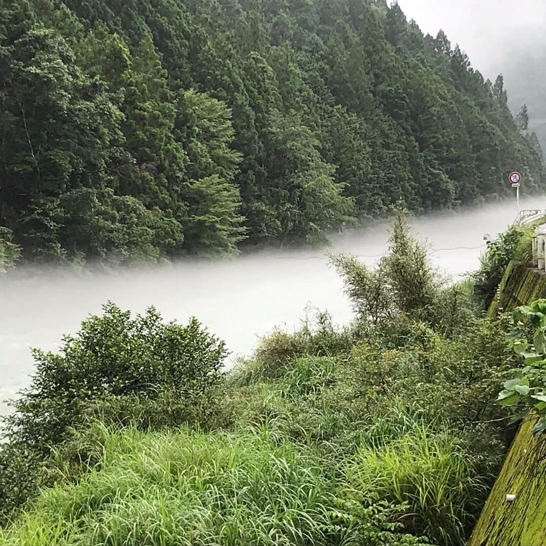 小谷あゆみさんのインスタグラム写真 - (小谷あゆみInstagram)「川霧が川面を覆って幻想的〜 熊野の神様に見守られているような旅でした #熊野古道 #熊野詣で #世界遺産  #くちくまの  #くちくまの熱中小学校  #里山 #農村 #rurallife  #rural  #satoyama」7月19日 9時49分 - vegeanaayu