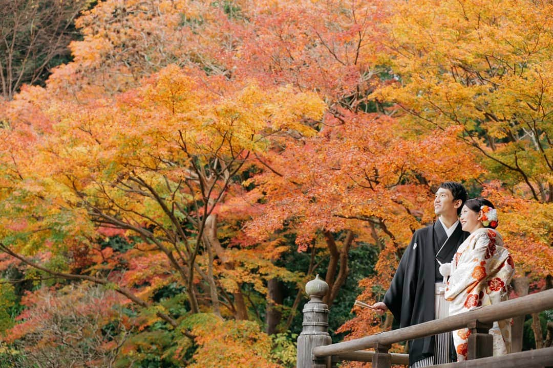 鎌倉プリンスホテル写真室_la-vie factoryのグルメインスタ