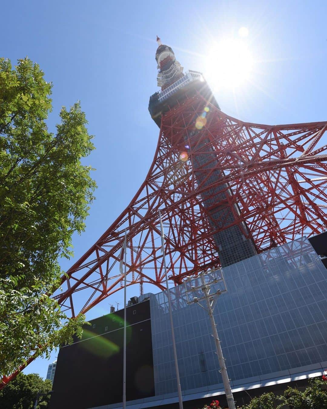 東京タワーの麓の結婚式のインスタグラム