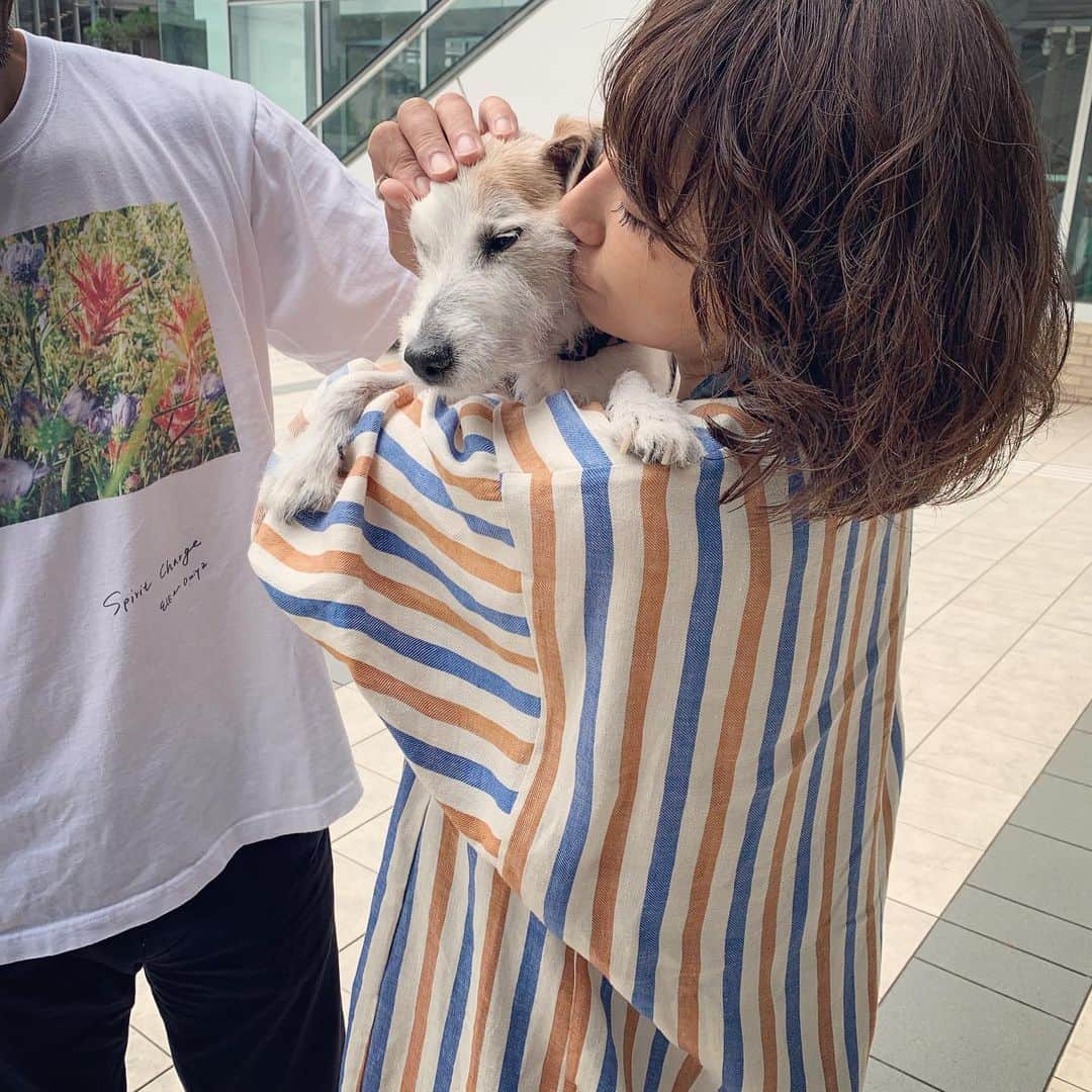 風間ゆみえのインスタグラム：「先日の土曜日。 イベントの前にマイロさんと🐶 毛をカットしてないからおじいちゃん感が増してる😅 けど、可愛い💛 笑  イベントに着て出かけたMYLANのストライプドレスは夫が選んでくれた😂 だからいつもゆみえちゃんのスタイリストは俺だな。って言われてる🤣  自分以外の誰かに、夫や、友人たちに服を選んでもらうの新鮮で好き‼︎ @keikosasaki_mylan」
