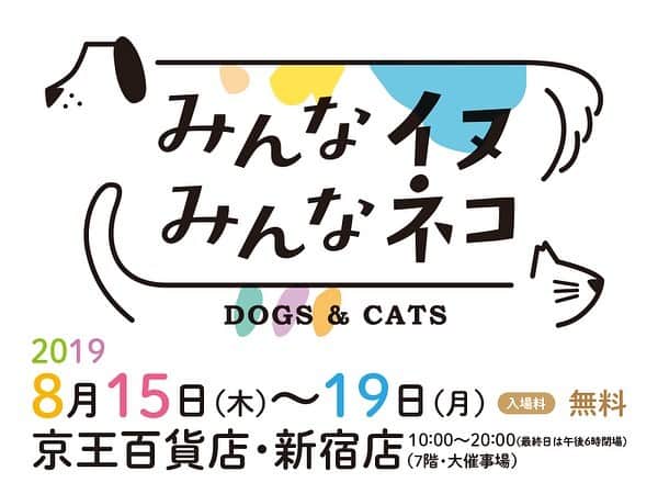 山田稔明さんのインスタグラム写真 - (山田稔明Instagram)「朝日新聞社が運営するペットサイトSIPPO主催のイベント「みんなイヌ、みんなネコ」が8月に新宿 京王百貨店で開催。僕は8月16日18時から近藤研二さんと一緒にライブで応援します。入場無料どなたでもご覧いただけますのでぜひお越しください。詳細をブログに書きました。 #みんなイヌみんなネコ」7月19日 10時47分 - toshiakiyamada