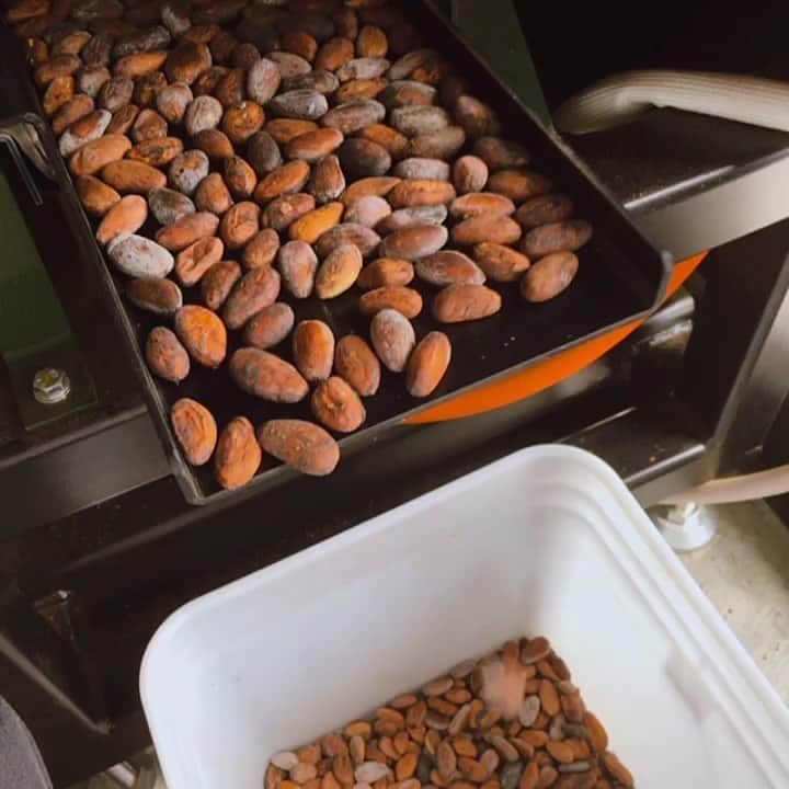 Concheのグルメインスタ