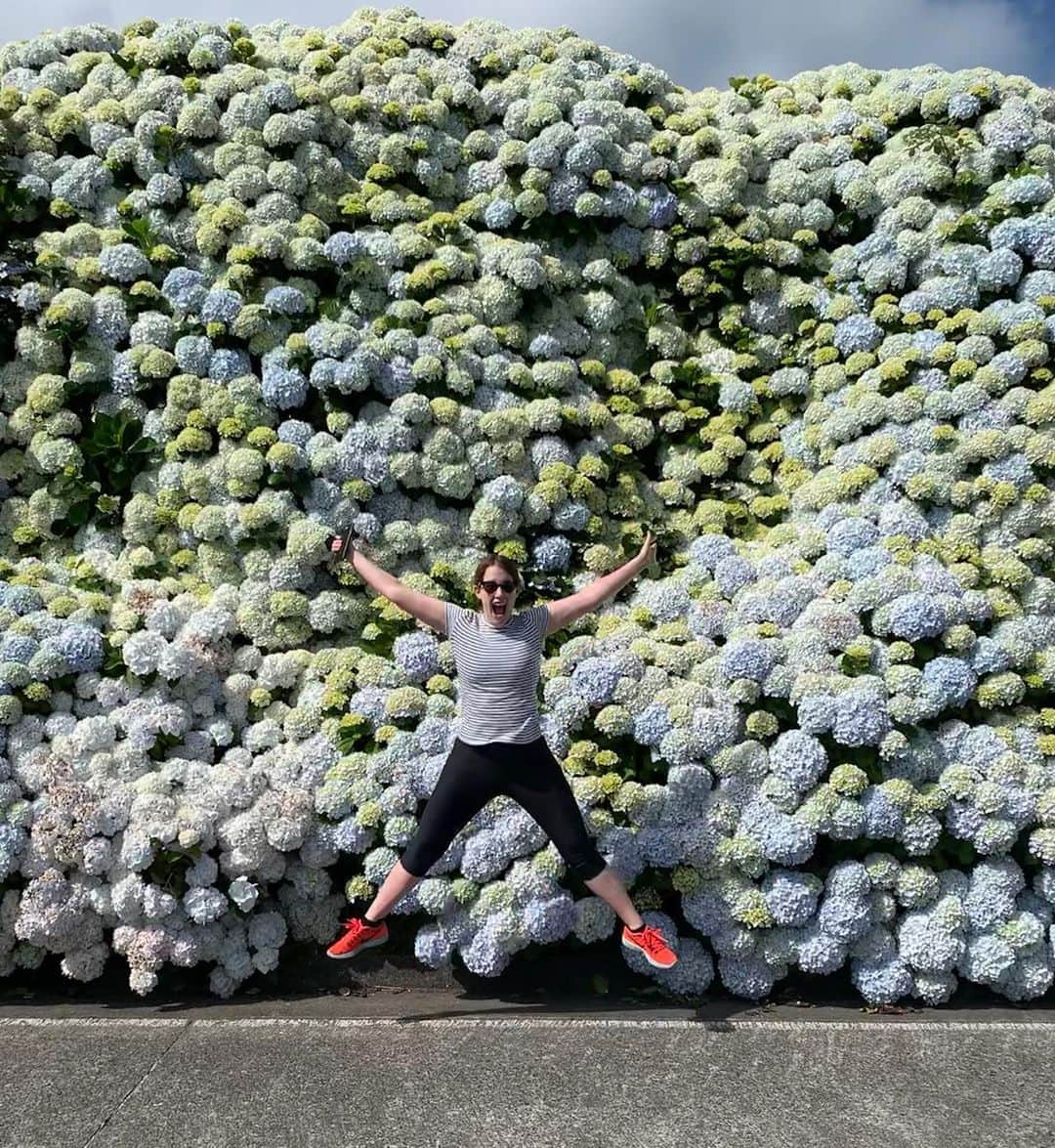 ノヴィスさんのインスタグラム写真 - (ノヴィスInstagram)「Hydrangea Heaven💙💚 #azores 🇵🇹」7月19日 11時59分 - novisnyc