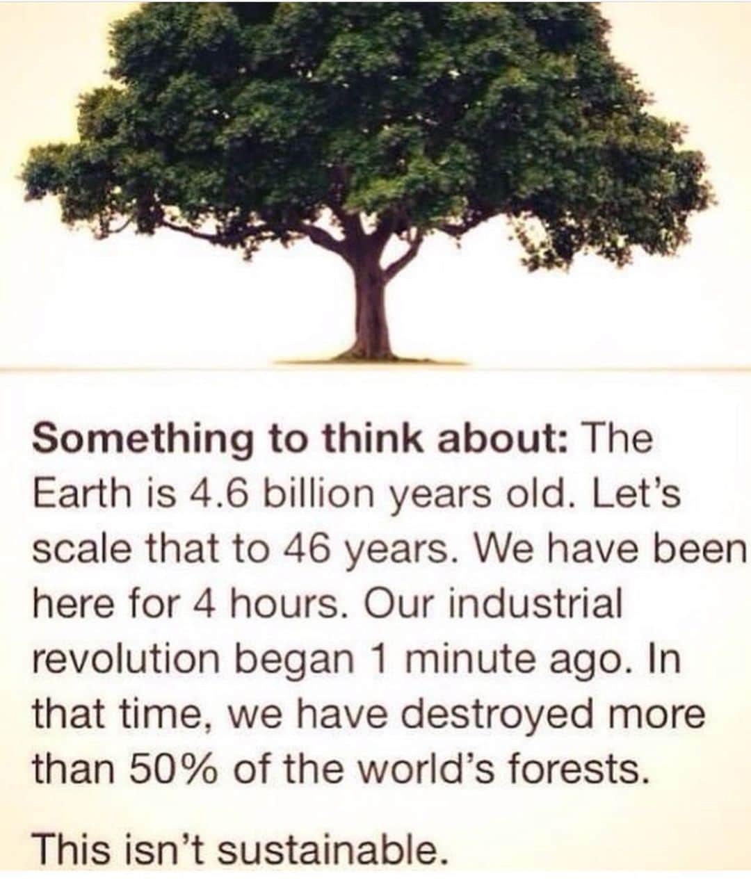 メリッサ・ジョーン・ハートさんのインスタグラム写真 - (メリッサ・ジョーン・ハートInstagram)「Just a reminder that we are borrowing the planet. Let’s not destroy it before our great grandkids get to enjoy it! So many small steps lead to bigger and better things. Start small by refusing strands and  by bringing your own reusable bags to the store. Then start saying no to bottled water and carrying a refillable one and coffee cup in the car. Next ditch find products that use glass or metal instead of plastics, like ketchup, milk or vinegar. Buy in bulk and research Composting in your yard or neighborhood/ city (mine does a pick up weekly for $32). But you can’t do it all today! Start small. Turn off lights( leaving TVs on is a pet peeve) and water more often and ditch the straw today. One step at a time!!!! 🌎🌍🌏🌍🌎🌎🌏🌍🌎🌍🌎」7月19日 12時41分 - melissajoanhart