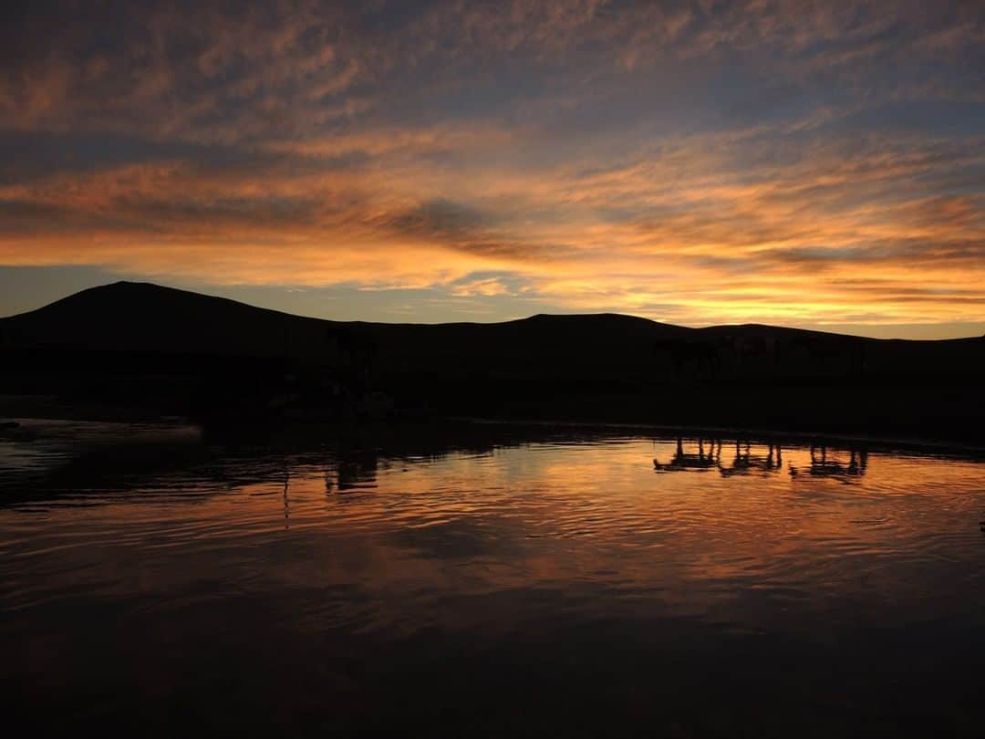 National Geographic Travelさんのインスタグラム写真 - (National Geographic TravelInstagram)「Photo by @amivitale | The sun sets in Montana's Centennial Valley. The valley is an important wildlife corridor for elk, moose, antelope, deer, wolverines, grizzly bears, wolves, and hundreds of bird species. The people who ranch here are careful to preserve the land for the wildlife that depend on it. Follow @amivitale for more photos of this incredible world. @thephotosociety @natgeoimagecollection #nature #river #water #montana #sunset」7月19日 13時03分 - natgeotravel