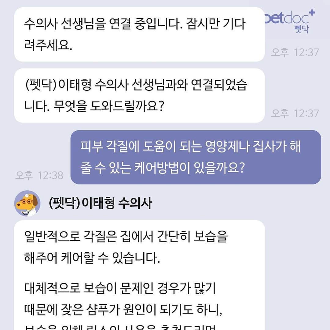 ギモさんのインスタグラム写真 - (ギモInstagram)「ㅤㅤ 기모가 피부가 약하고 각질이 있어서 지난달 무마취 미용도 하고 크릴오일을 먹으며 관리를 하고 있어요. 최근에 지인에게 롯데홈쇼핑 앱 안에 코코야 수의사 1:1 무료 상담서비스가 있다는 걸 듣고 밑져야 본전인 마음으로 각질 관련해서 문의를 한번 해봤어요. 실제 수의사님들의 피드백을 받는 거라 진료나 수술 등이 있을 수 있기에 답변 속도는 솔직히 좀 느린데 대신 궁금할 때마다 무료로 가볍게 상담할 수 있다는 점이 엄청 메리트네요! 병원에 묻기 애매한 것들도 여기 여쭤보면 돼서 앞으로 종종 이용해야겠다는 생각이 듭니다.  저 혼자만 알고 있기 너무 좋은 서비스라 많은 분들께 공유합니다. #cat #gimo #롯데홈쇼핑 #코코야 #반려동물쇼핑몰 #온라인수의상담 #각질케어 #이건100프로무료서비스예요」7月19日 13時00分 - 1room1cat