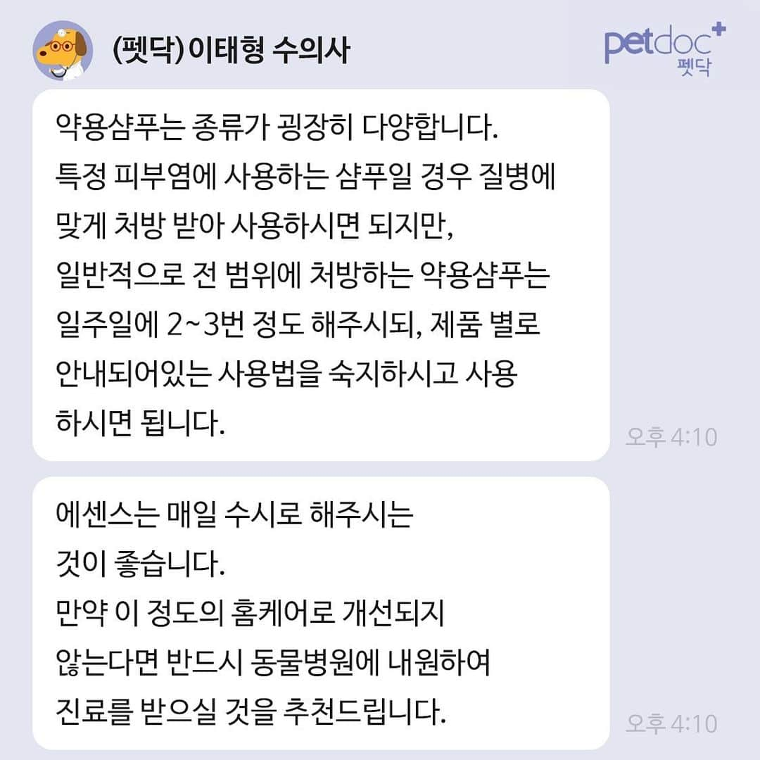 ギモさんのインスタグラム写真 - (ギモInstagram)「ㅤㅤ 기모가 피부가 약하고 각질이 있어서 지난달 무마취 미용도 하고 크릴오일을 먹으며 관리를 하고 있어요. 최근에 지인에게 롯데홈쇼핑 앱 안에 코코야 수의사 1:1 무료 상담서비스가 있다는 걸 듣고 밑져야 본전인 마음으로 각질 관련해서 문의를 한번 해봤어요. 실제 수의사님들의 피드백을 받는 거라 진료나 수술 등이 있을 수 있기에 답변 속도는 솔직히 좀 느린데 대신 궁금할 때마다 무료로 가볍게 상담할 수 있다는 점이 엄청 메리트네요! 병원에 묻기 애매한 것들도 여기 여쭤보면 돼서 앞으로 종종 이용해야겠다는 생각이 듭니다.  저 혼자만 알고 있기 너무 좋은 서비스라 많은 분들께 공유합니다. #cat #gimo #롯데홈쇼핑 #코코야 #반려동물쇼핑몰 #온라인수의상담 #각질케어 #이건100프로무료서비스예요」7月19日 13時00分 - 1room1cat