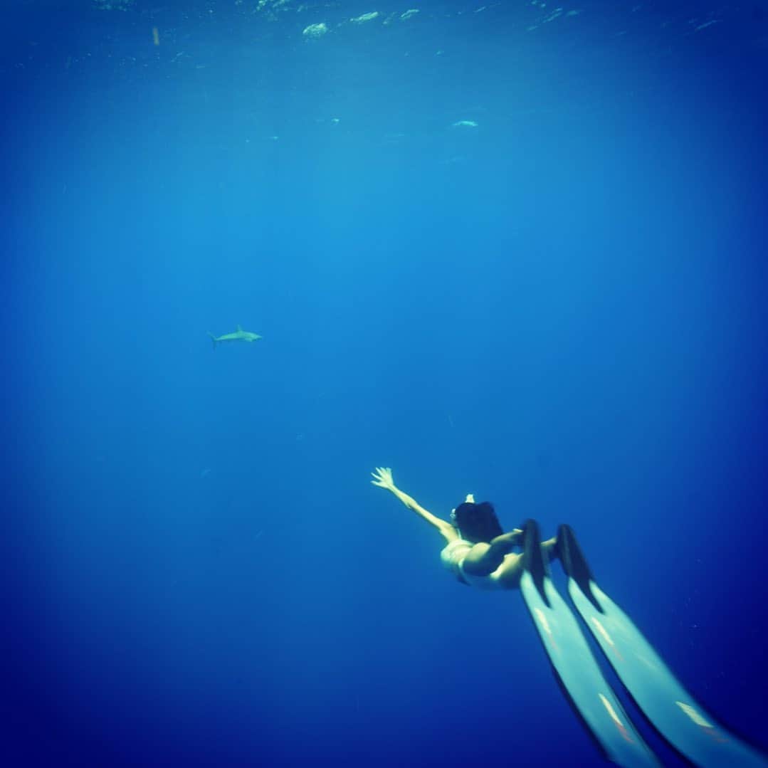 福本幸子さんのインスタグラム写真 - (福本幸子Instagram)「SEE YOU IN THE SEA.  さゆりちゃん、海の生き物に紛れて、ばったり会えそうだよ。」7月19日 14時00分 - okinawajudy