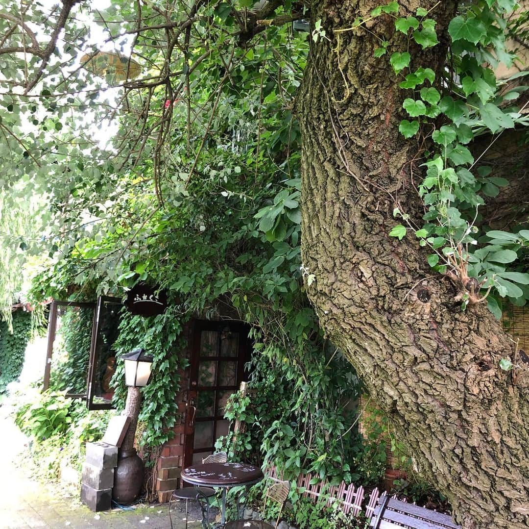 三上市朗のインスタグラム：「お昼の後は川沿いの素敵なカフェ「ふかくさ」へ綺麗なお嬢さんがピアノ弾いてたのですがテレビ岩手のアナウンサーさんでした。 お店の上品なママとお喋りしてきました。 そんな盛岡の昼下がり。」