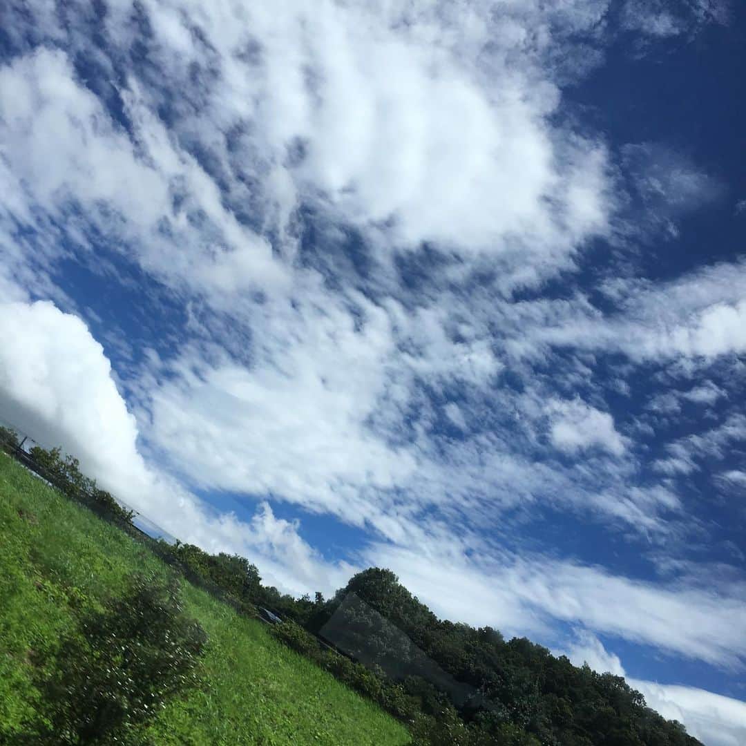 今村沙緒里のインスタグラム：「Beautiful Nature！ 大きな空。ワイルド🌿 自然を感じると元気でます☺︎ ・ 人生、大変なこともあるけど 自分の目で見て、耳で聞いて 心で感じたこと信じて、生きていきたい。 今日の、今に、感謝。 ・ 京都アニメーションの事件 本当に、本当に、胸が痛いです。 Pray for Kyoto Animation... ・ #nature #sky #beautiful #blue #live #wild #prayforkyoani」