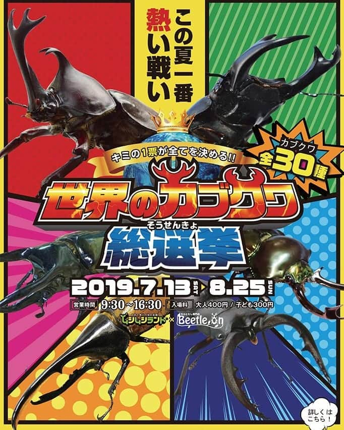 鈴木おさむさんのインスタグラム写真 - (鈴木おさむInstagram)「福島県田村市ムシムシランドにて、「カブクワ総選挙」開催中！世界のカブトムシ、クワガタが大集合。週末、選挙に行ったあとに、こっちにも一票、投票しよう！」7月19日 14時35分 - osamuchan_suzuki