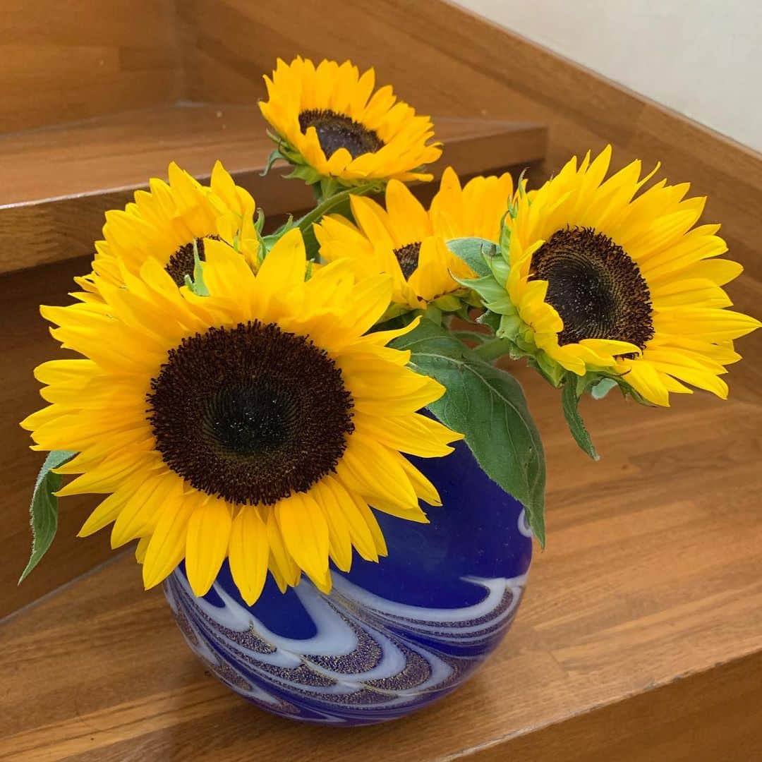 のインスタグラム：「夏日。通りがかりの花屋で思わず向日葵を買って帰る。」