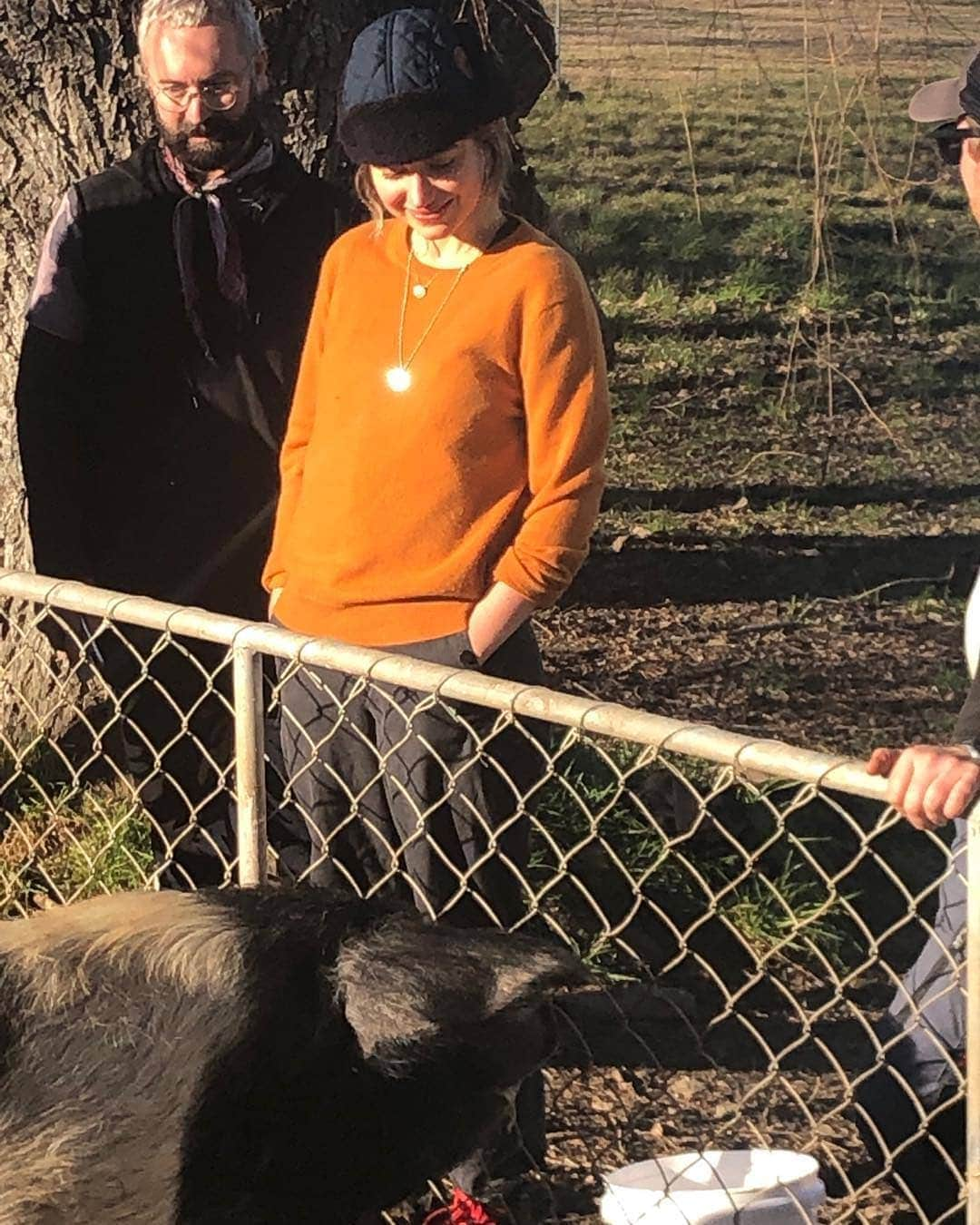 イモージェン・プーツのインスタグラム：「#Repost from @samneilltheprop with @regram.app ... IMOGEN POOTS meets IMOGEN POOTS. Now this almost never happens . My beautiful friend Poots ( the human type person ) caught up with her piggy alter persona. Strangely they do not in anyway resemble each other .Just start with their figures for instance. What WAS I thinking when naming this pig. anyway  That aside , they are now firm friends . Next up - Meryl Streep . Oh wait ... a stoat ate Meryl.  #ImogenPoots」