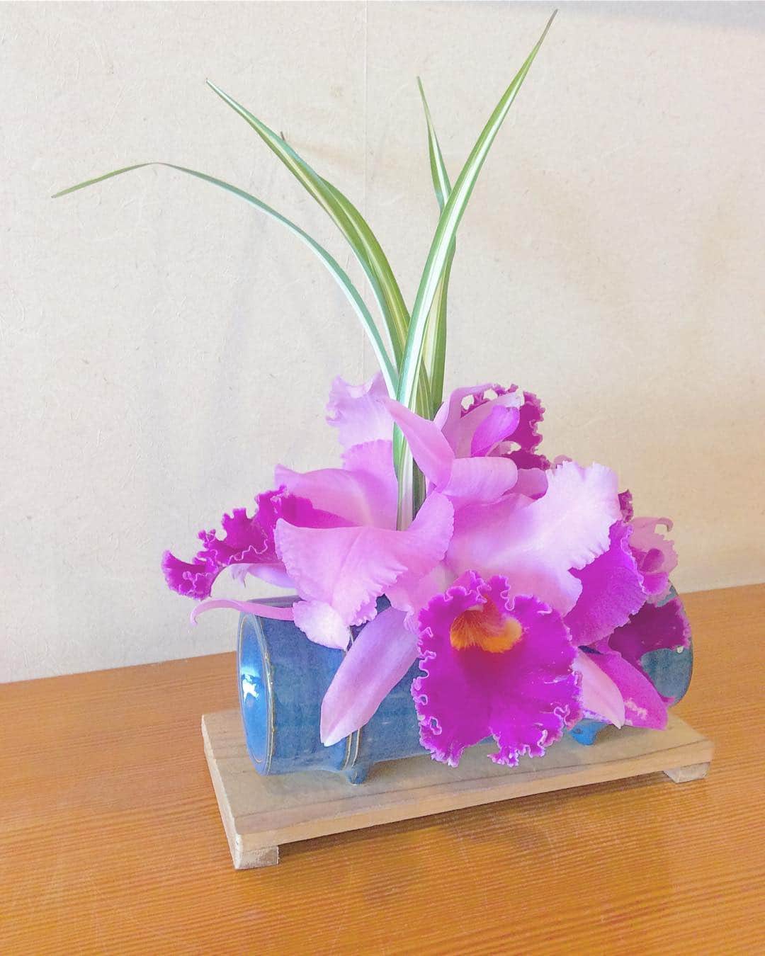 祥吉のグルメインスタ