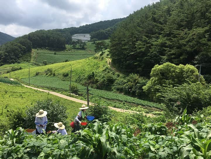 パク・ソダムさんのインスタグラム写真 - (パク・ソダムInstagram)「#삼시세끼 #산촌편 #tvN #20190809 #금요일  #오후9시10분 #첫방송  우리💚 곧 만나요...😛뿅」7月19日 16時16分 - imsodamm