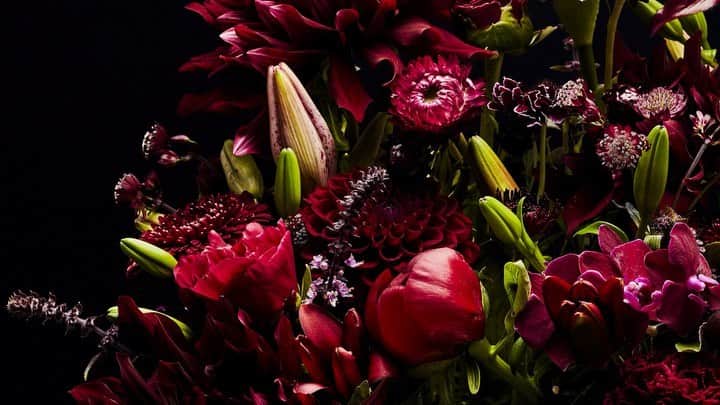 椎木俊介のインスタグラム：「Flowers  #azumamakoto #makotoazuma #shiinokishunsuke #amkk #amkkproject #flowers #flowerart #東信 #東信花樹研究所 #花  #timelapse #60秒 #60s」