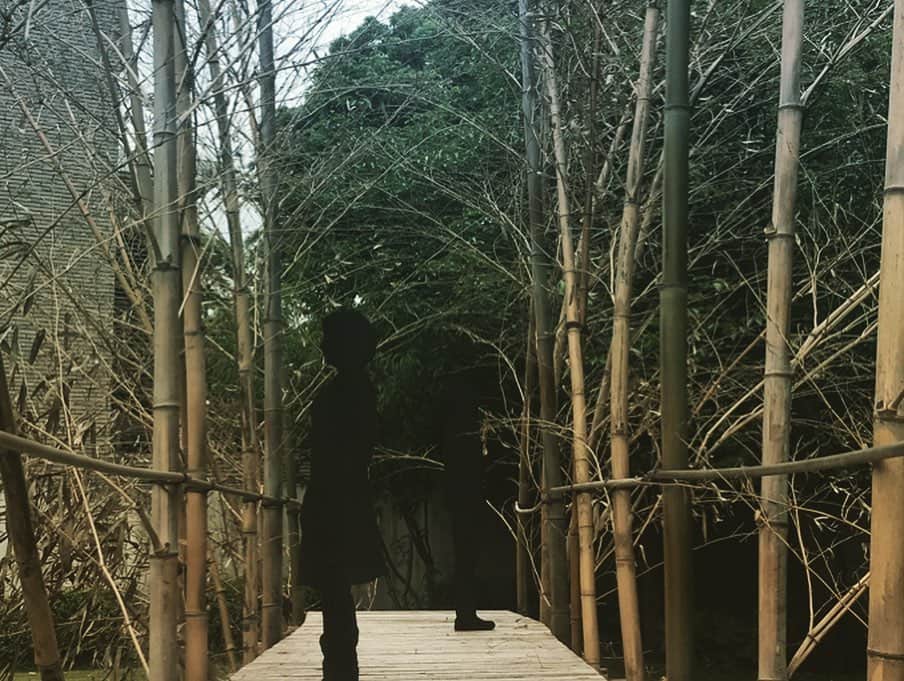 タマルのグルメインスタ