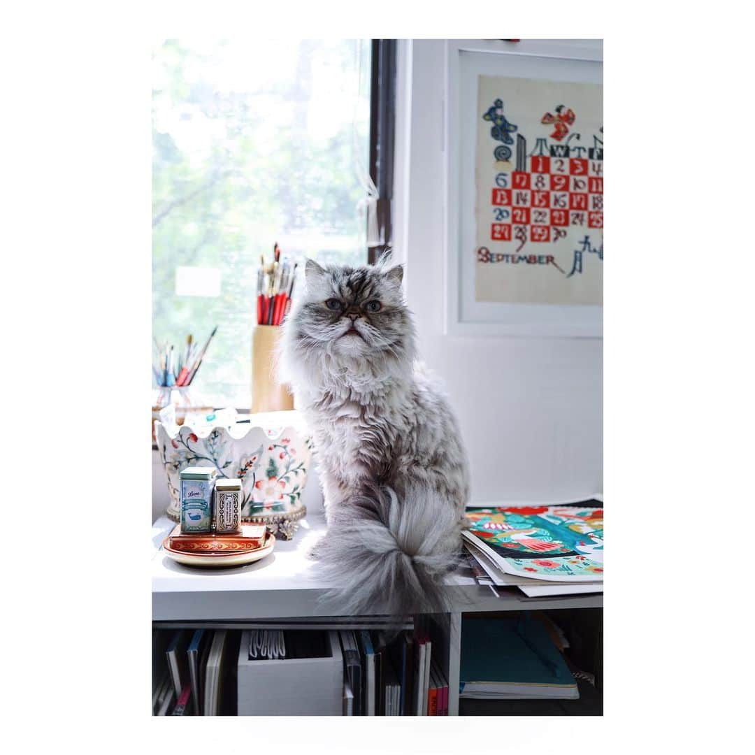Dinara Mirtalipovaのインスタグラム：「Studio vibe 💓 happy weekend #matildamycat」