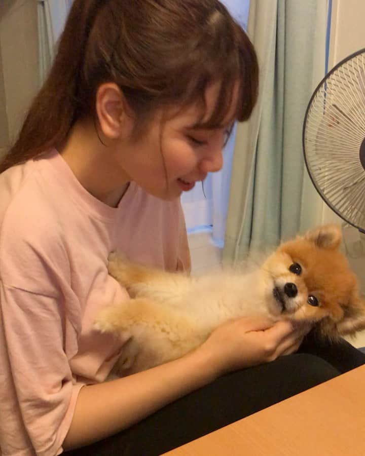 RIO POMEのインスタグラム：「おやつ🍭  もやし💕  このワードを聞くと落ちつきません🐶  #ポメラニアン #pomeranian  #犬 #dog #dogstagram#doglover #愛犬 #わんこ #ポメラニアン大好き #ポメラニアンが世界一可愛い #pom #ぽめらにあん #ポメ#pomeraniansofinstagram  #pomeranianlove #ふわもこ部 #いぬバカ部 #癒しわんこ#instapic#pomstagram #puppy #dogsofinstagram #cute#cutedog」