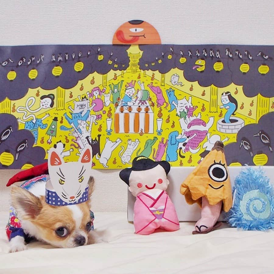 ちまさんのインスタグラム写真 - (ちまInstagram)「Summer is the season for dares👻 ・ @pecobox_official  7月は #pecoきもだめし 狐のお面 似合うでしょ🐶💕 ・ 随分前に届いてたんですが ちまが火の玉を離してくれず ようやく載せられる写真が撮れました😅 ・ #chima #ちま #チワワ #chihuahua #ชิวาวา #ふわもこ部 #PECOいぬ部 #sniffandbarkens #WeeklyFluff #cutepetclub #doggy_lovings #肝試し #浴衣 #盆踊り #pecoboxフレンズ」7月19日 19時23分 - chima.chihuahua