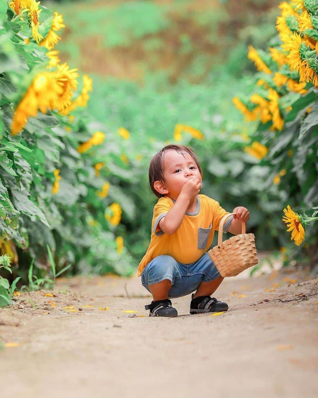 タビスルキッズのインスタグラム：「今週もお疲れさまでした😊 現在、「初夏」を楽しんでいるお写真・動画を募集中です✨ 本日の #タビスルキッズ はこちら💕 📷@29pnkさん 🚩愛知県・「愛知牧場」 🎙ご本人コメント 星ヶ丘テラスに続き﻿ お菓子を食べてる写真第2弾🍬﻿ 今回はひまわりに見守られながら🌻🌻🍭🌻🌻 ﻿ 気付いたら一眼レフを買って1年経ってました👏﻿ フォトレッスンとかいつか行ってみたいと思いつつ めんどくさくて未だに行く予定なし🥺﻿ ﻿﻿﻿﻿﻿＊＊＊＊＊＊ こんな素敵な場所でお菓子が食べられるなんて最高ですね✨素敵なお写真ありがとうございます💕」