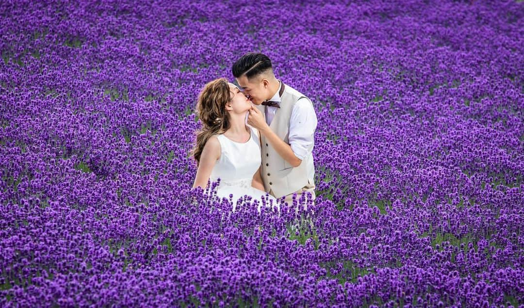 Decollte Wedding Photographyさんのインスタグラム写真 - (Decollte Wedding PhotographyInstagram)「💜💜Amazing Lavender Field 💜💜﻿ ﻿ Location : Furano Hokkaido﻿ Photographer : @studioaqua_kaito  Hair&Makeup : @yurie.hm_aquaasakusa﻿ ﻿ @studiosola_hokkaido﻿ @decollte_weddingphoto﻿ @decollte_weddingstyle﻿ ﻿ ﻿ #japan #Hokkaido #weddinginspiration #Weddingphotography #prewedding #weddingphoto #overseasprewedding #japaneseprewedding #japanwedding #landscapephotography #romantic #love #happiness #日本 #北海道 #薰衣草 #夏天 #海外婚紗 #婚紗 #唯美 #신부 #웨딩 #웨딩사진」7月19日 19時53分 - d_weddingphoto_jp