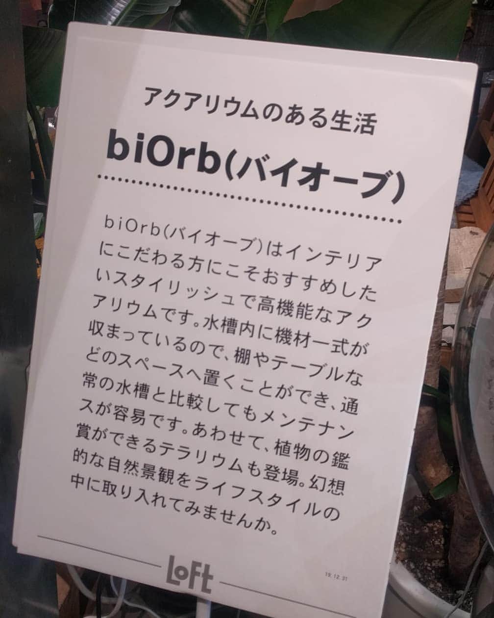越中睦士さんのインスタグラム写真 - (越中睦士Instagram)「#biorb」7月19日 19時50分 - makotokoshinaka