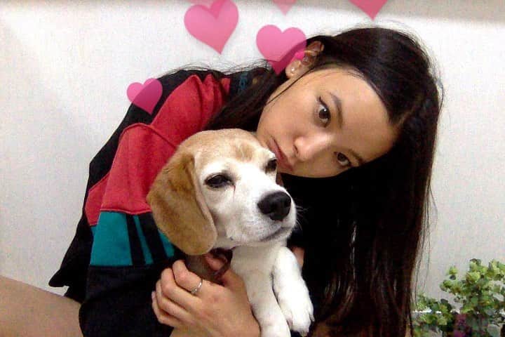 織田梨沙さんのインスタグラム写真 - (織田梨沙Instagram)「ザリガニを食べた手で皆んなからいい子いい子されて、頭がとても臭っている犬ですがとても愛おしい🐶💕 シャワーいたしましょう🛀🧼」7月19日 20時07分 - oda_lisa