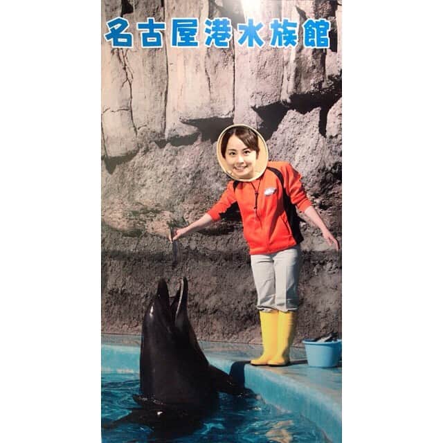 加藤美和さんのインスタグラム写真 - (加藤美和Instagram)「Ate Nagoya’s famous dish, Hitsumabushi(grilled eel on rice) in Aichi Prefecture🍚 Also, went to “Port of Nagoya Public Aquarium” and saw the dolphin performance🐬 #aichi #prefecture #nagoya #eel #hitsumabushi #atsutahouraiken #eel #rice #aquarium #portofnagoyapublicaquarium #dolphin #performance #penguin #cute #bilingual #mc  #愛知県 #名古屋 #名物 #あつた蓬莱軒 #ひつまぶし  #ひつまぶし名古屋 #名古屋港水族館 #名古屋港水族館🐬 #イルカ #ショー #ペンギン #可愛い #バイリンガル #司会」7月19日 20時36分 - miwakato_