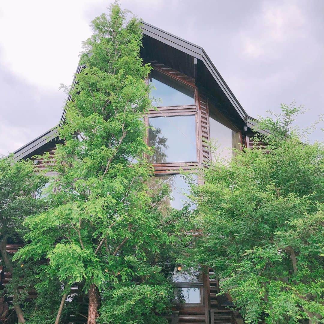 maiii0301さんのインスタグラム写真 - (maiii0301Instagram)「#シャンドール #半田カフェ #ランチ #パスタ #サラダ #外観 #グリーン ━︎━︎━︎━︎━︎━︎━︎━︎━︎━︎━︎━︎━︎━︎━︎━︎━︎━︎━︎━︎ せっかく来れたので、ボリューミーでしたが、パスタを頂きみんなでパフェまでの気合い充分でした😍♡ ━︎━︎━︎━︎━︎━︎━︎━︎━︎━︎━︎━︎━︎━︎━︎━︎━︎━︎━︎━︎ 食べても食べても‥へらなかったたっぷりパスタ😂✨ パフェのみならず食事も、メニュー豊富で美味しい💕 ━︎━︎━︎━︎━︎━︎━︎━︎━︎━︎━︎━︎━︎━︎━︎━︎━︎━︎━︎━︎ あ、ちなみに、私は生ハムののったカボチャクリームソースにしましたが、美味しかったです❣️ ━︎━︎━︎━︎━︎━︎━︎━︎━︎━︎━︎━︎━︎━︎━︎━︎━︎━︎━︎━︎ パスタは、メニューがありすぎてしぼるのに必死😂🙌 定番で行くか、挑戦してみるか‥も迷うところですね。 ━︎━︎━︎━︎━︎━︎━︎━︎━︎━︎━︎━︎━︎━︎━︎━︎━︎━︎━︎━︎ 一緒に行った仲間は（今回はあと2人は来られなかったけど）3年前のmon chou chou*maiのスタートとなる初めての、自宅レッスンを練習させてもらったママ仲間❤️ 感慨深く感謝✨🙏😭✨✨ 当時、役員さん会長&副会長を務めたり、42.195㎞フルマラソンを完走したりなどなど感心ばかり♡ 私はスッとぼけてるけど😂愛想も尽かさず定期的に集まって色々話せる仲間がありがたい😭❤️✨ ━︎━︎━︎━︎━︎━︎━︎━︎━︎━︎━︎━︎━︎━︎━︎━︎━︎━︎━︎━︎ 夏休みを乗り越えて2学期に また次回も楽しみでーす☺️💓」7月19日 21時01分 - maiii0301