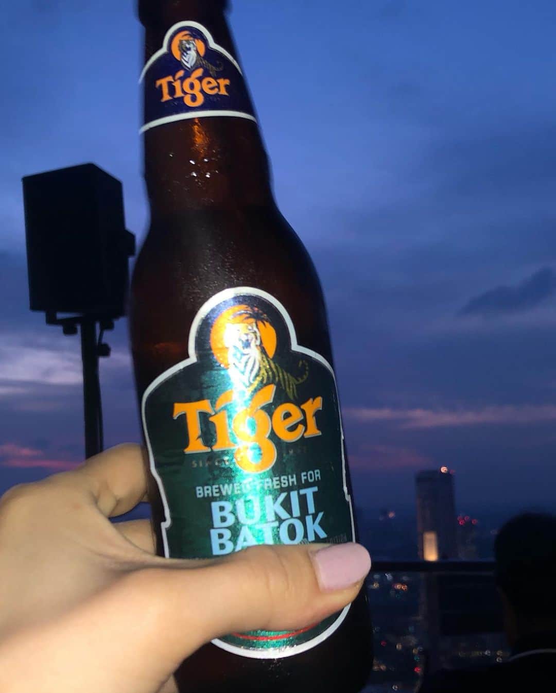 林愛莉さんのインスタグラム写真 - (林愛莉Instagram)「ビール大好き芸人の私には外せない旅先でのビール。シンガポールの タイガービール🐯🍻とっても飲みやすくて美味しいですな #シンガポール #タイガービール #マリーナベイサンズ  #シンガポール旅行  #シンガポール女子旅 #marinabaysands  #マーライオン」7月19日 21時12分 - rinairi_0127