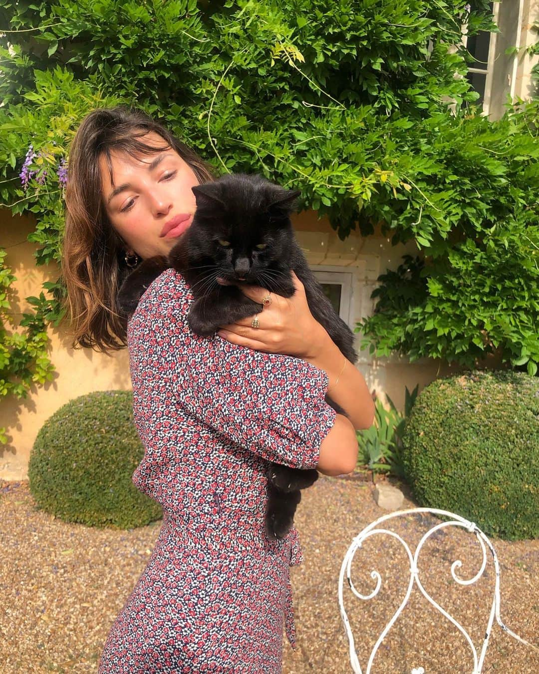 Jeanneさんのインスタグラム写真 - (JeanneInstagram)「Cheating on Charlie 🐾」7月19日 21時29分 - jeannedamas