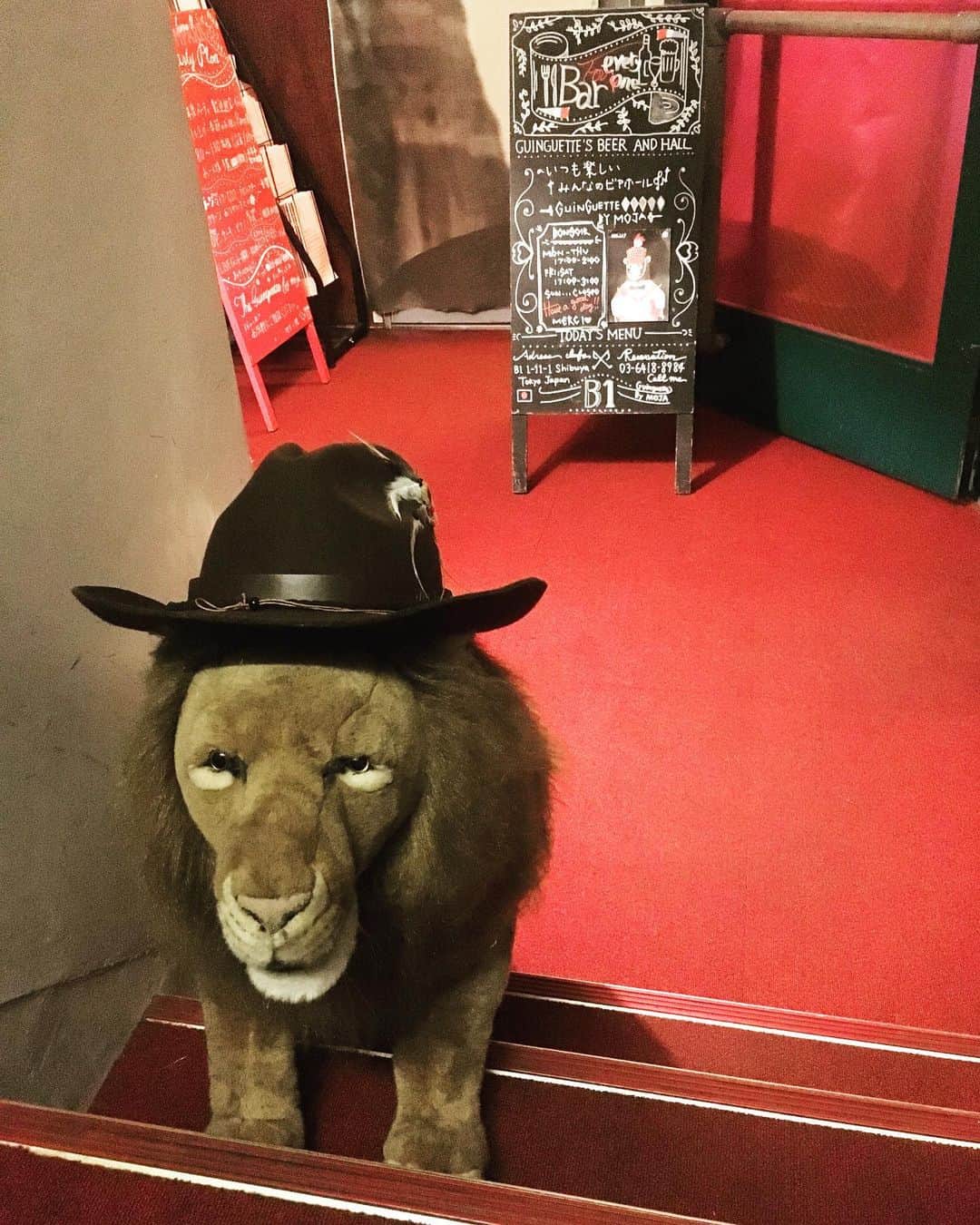 猫沢エミのグルメインスタ