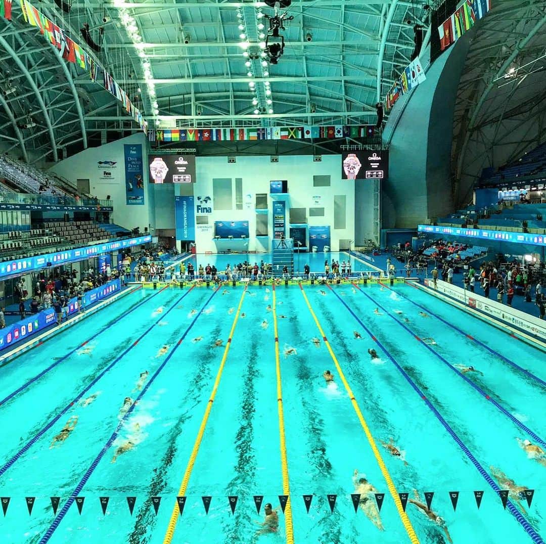スピードさんのインスタグラム写真 - (スピードInstagram)「The pool at the #FINAGwangju2019 😍  Who’s excited to see some incredible swimming at FINA Worlds🙋‍♀️ #FINAWorlds #TeamSpeedo #Speedo」7月19日 21時23分 - speedo